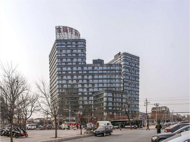 泸州早熟禾草坪种植基地